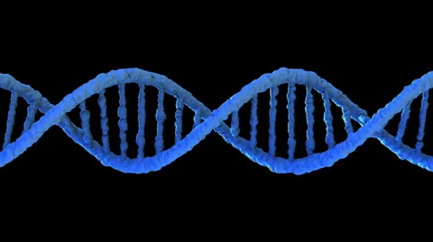 Looped rotating DNA strand, seamless loop Stock Footage 33733679