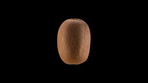 Looped rotating Kiwi, one full revolution. Prores 4444 Straight Alpha Vídeo Stock 88056182