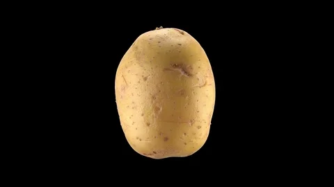 Looped rotating Potato, one full revolution. Prores 4444 Straight Alpha Stock Footage