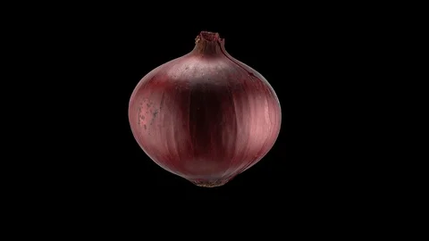 Looped rotating red Garlic, one full revolution. Prores 4444 Straight Alpha Vídeo Stock 88002142