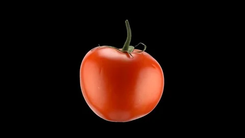 Looped rotating Tomato, one full revolution. Prores 4444 Straight Alpha Vídeo Stock 87979385