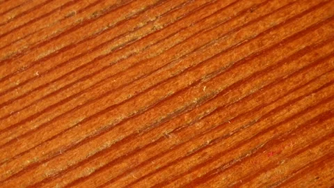 Looped surface material sequence Stock Footage 219728255