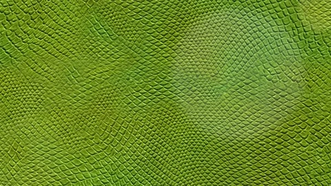 Reptile scales - pattern - extreme close, Stock Video