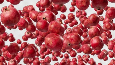 Looped Video of Falling Pomegranates with Alpha Channel. 3D rendering. Stock-Footage 252014793