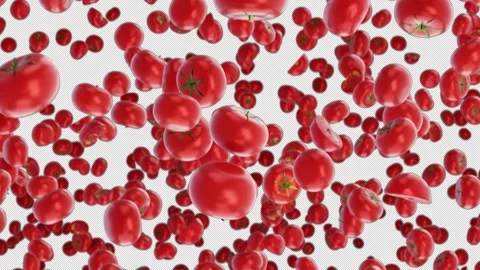 Looped Video of Falling Tomatoes with Alpha Channel. 3D rendering. Stock Footage 251854722