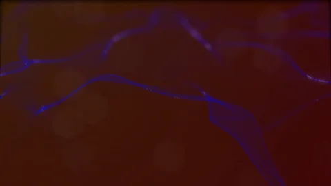 Looped virtual space. Background with particles form lines, surfaces, grid. V26 Stock Footage 92170311