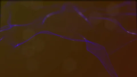 Looped virtual space. Background with particles form lines, surfaces, grid. V27 Stock Footage 92170318