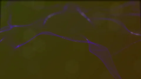 Looped virtual space. Background with particles form lines, surfaces, grid. V28 Stock Footage 92170365