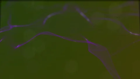 Looped virtual space. Background with particles form lines, surfaces, grid. V29 Video stock 92170393