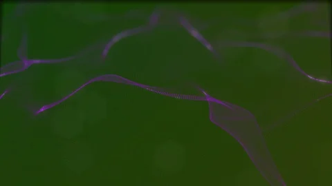 Looped virtual space. Background with particles form lines, surfaces, grid. V30 Stock Footage 92170446