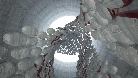 Looped visualization. Luxury abstract architectural background. Flying  Stock Footage 149574923