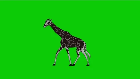 Looping 2D Animation of a Dark Giraffe Walking on Green Screen Background Video stock 313460609