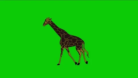 Looping 2D Animation of a Giraffe Walking on Green Screen Background Video stock 313460607