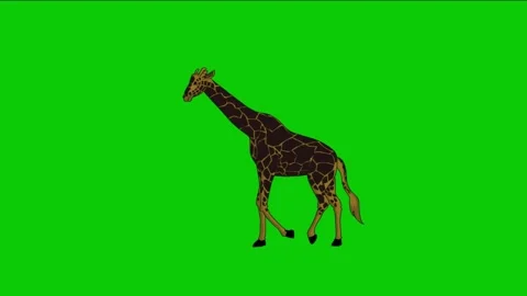 Looping 2D Animation of a Giraffe Walkin... | Stock Video | Pond5