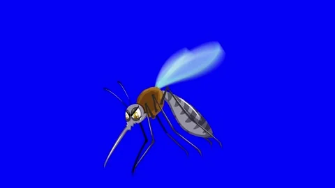 Looping 2D Mosquito Flying on Blue Screen Video stock 327095266