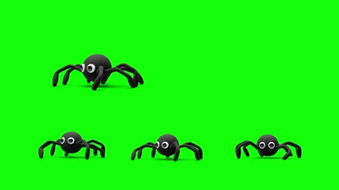 Looping 3D animation of cute Halloween spider. Green screen and alpha channel. Stock Footage 317719151