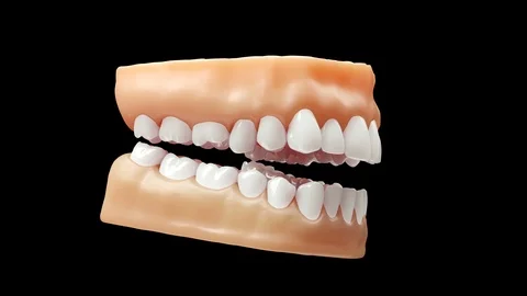 Looping 3D Rendered human teeth Stock Footage 92994395