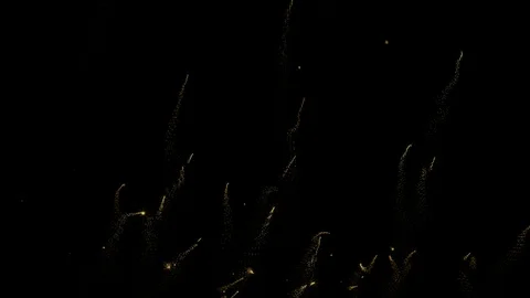 Looping Abstract background with shining bokeh sparkling particles, Stock Footage 120545431