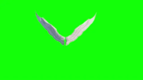 Looping Angel Wings Flapping 3d render Vídeos de archivo 147952223