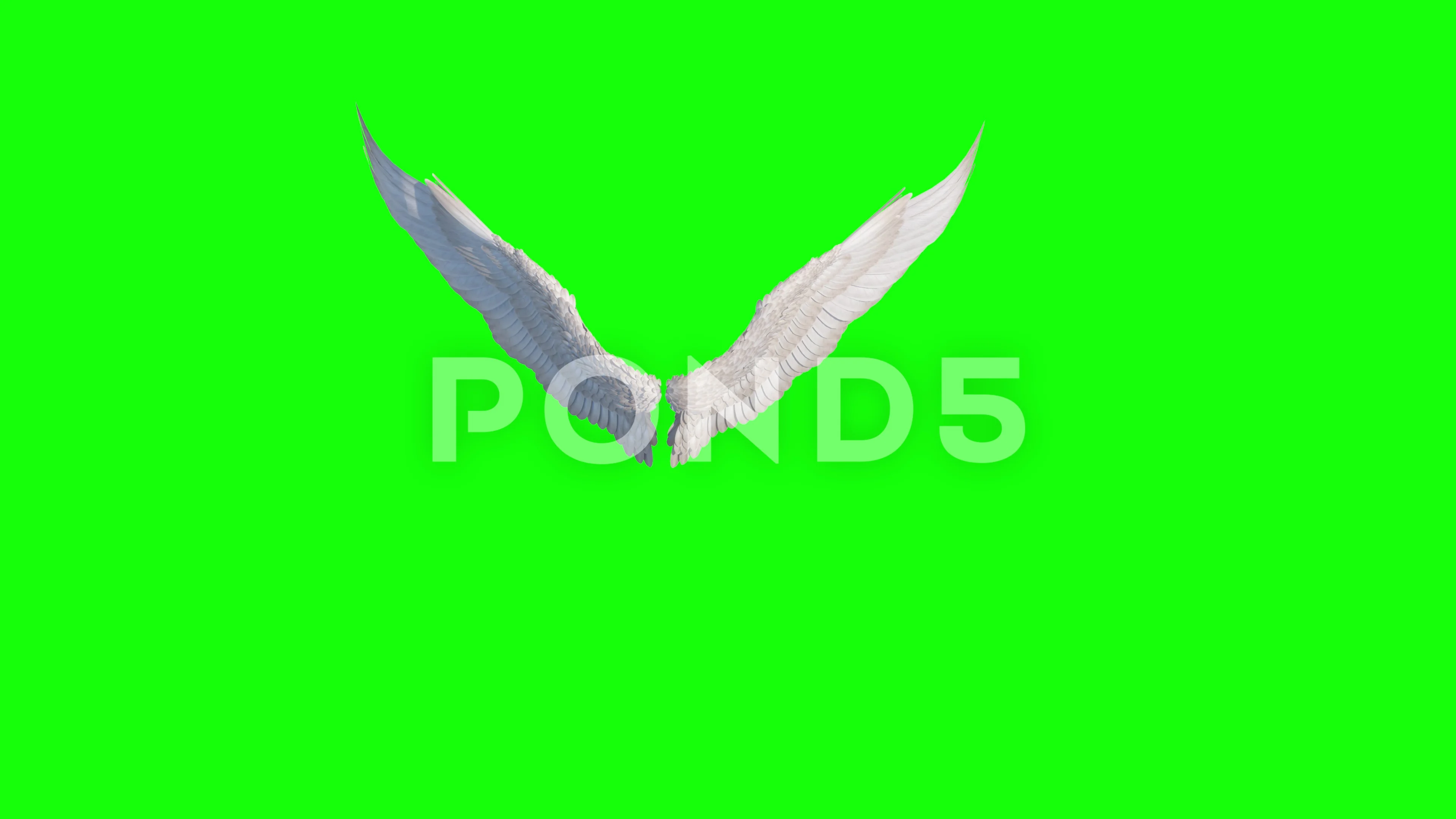 Angel Wings Stock Video Footage Royalty Free Angel Wings Videos Page 8 - fallen angel wings roblox