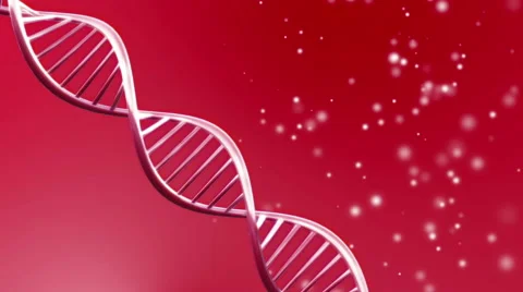 Looping animated dna molecule - 4K Resolution Ultra HD Stock Footage 41755557