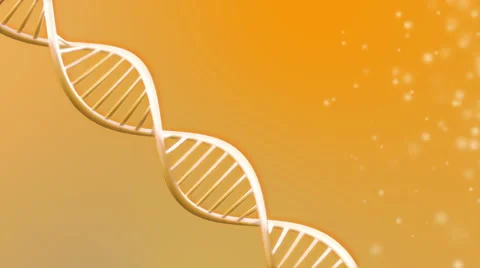 Looping animated dna molecule Stock Footage 39977463