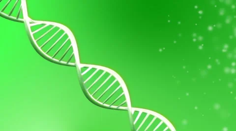 Looping animated dna molecule Stock Footage 39977468