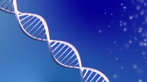 Looping animated dna molecule Stock Footage 39977470