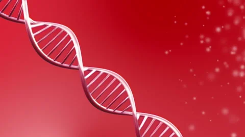 Looping animated dna molecule Stock Footage 39977473