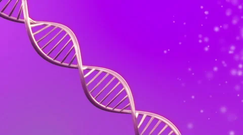 Looping animated dna molecule Stock Footage 39977477
