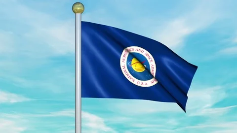 Looping Animated Flag of NASA on a Pole Stock Footage 73575715