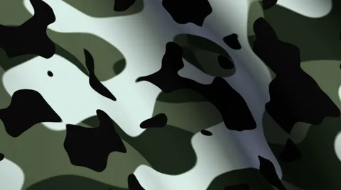 Looping Animated Forest Camo Cloth - 4K Resolution Ultra HD Stock Footage 41608423