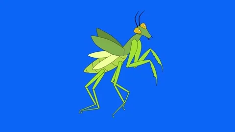 Looping animated video, a praying mantis is flying on blue screen Stock Footage 347627520