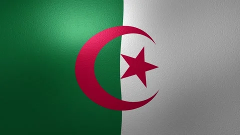 Looping animation of the Algerian flag waving with a detailed fabric texture Stock Footage 345999826