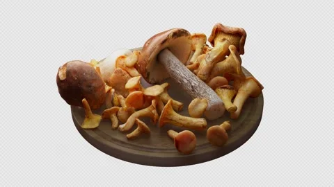Looping animation around a composition of mushrooms lying on a wooden board. 스톡 동영상 308741070
