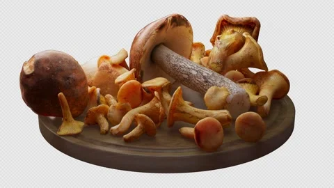 Looping animation around a composition of mushrooms lying on a wooden board. Stock Footage 309335462