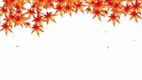 A looping animation asset featuring watercolor-painted autumn leaves gracefully  Stock Footage 331937175