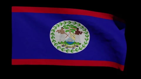 Looping Animation of the Belizean Flag Waving (w/ Matte) Stock Footage 284044845