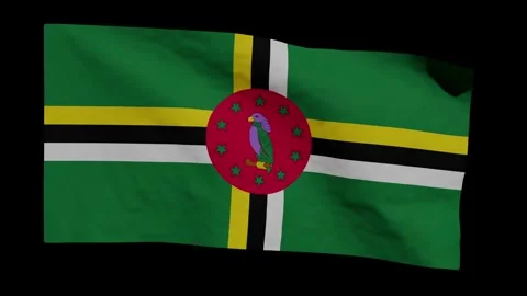 Looping Animation of the Dominican Flag Waving (w/ Matte) Stock Footage 302555949