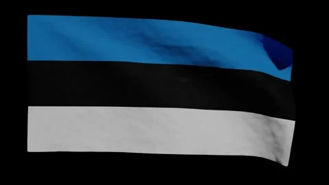 Looping Animation of the Estonian Flag Waving (w/ Matte) Stock Footage 291990642