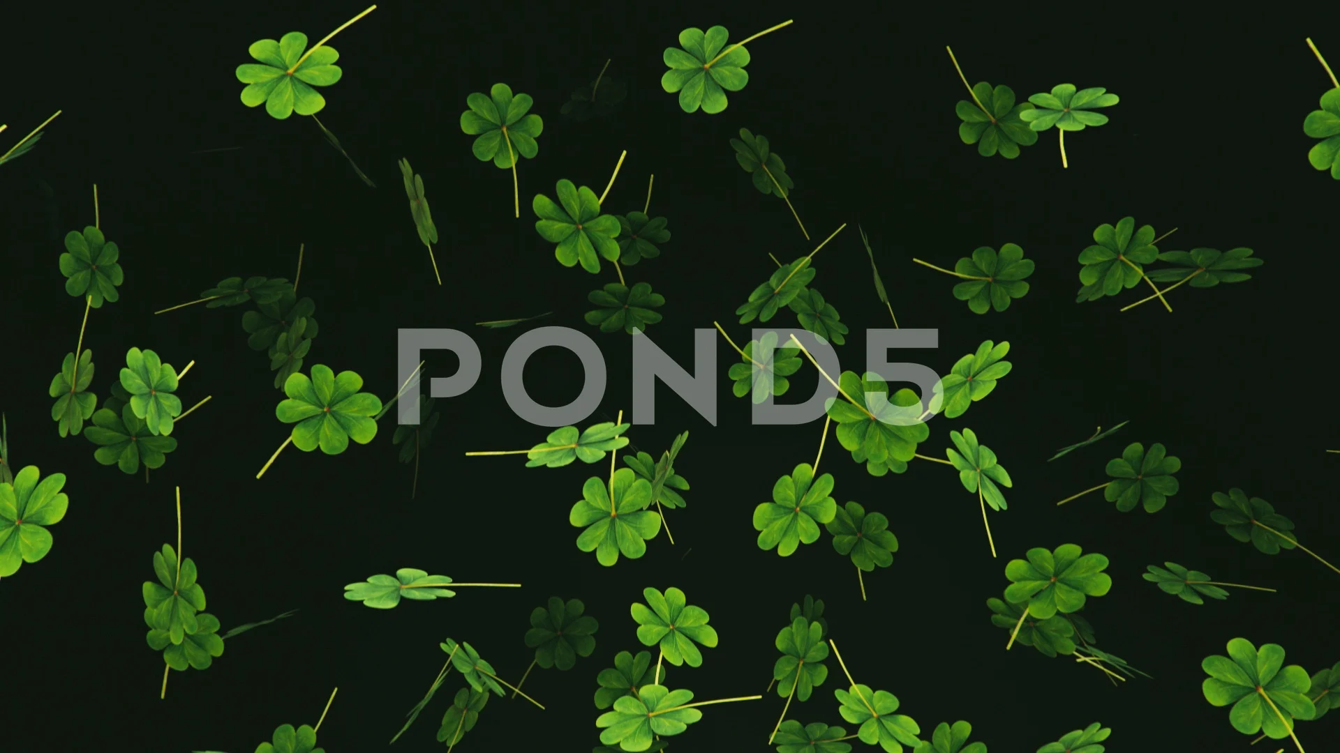 Looping Animation of Falling Four Leaf C... | Stock Video | Pond5