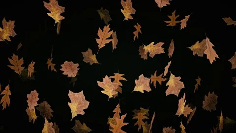 Looping Animation of Falling Oak Leaves 库存影片 77895182