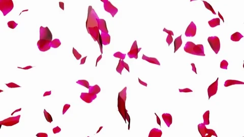 Looping Animation of Falling Rose Petals 库存影片 77896520