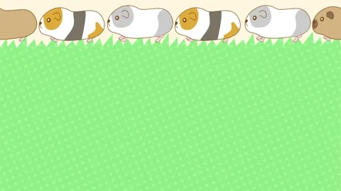 Looping animation frame background of guinea pigs walking in a line Stock Footage 313099029