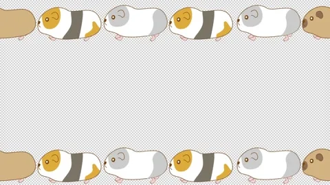 Looping animation frame background of guinea pigs walking in a line Stock Footage 313099084