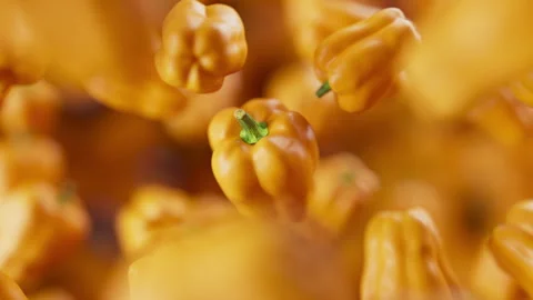 Looping animation of a group of bell pepper. Defocus. Close-up. Stock Footage 309333656