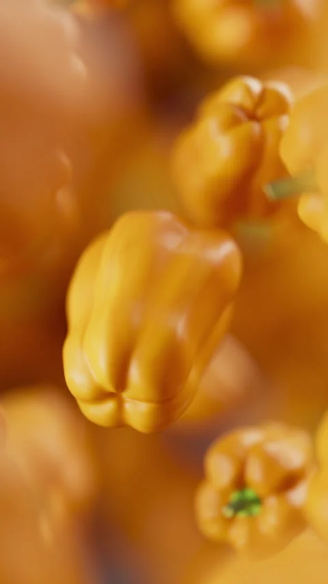Looping animation of a group of bell pepper. Defocus. Close-up. Stock Footage 317496756