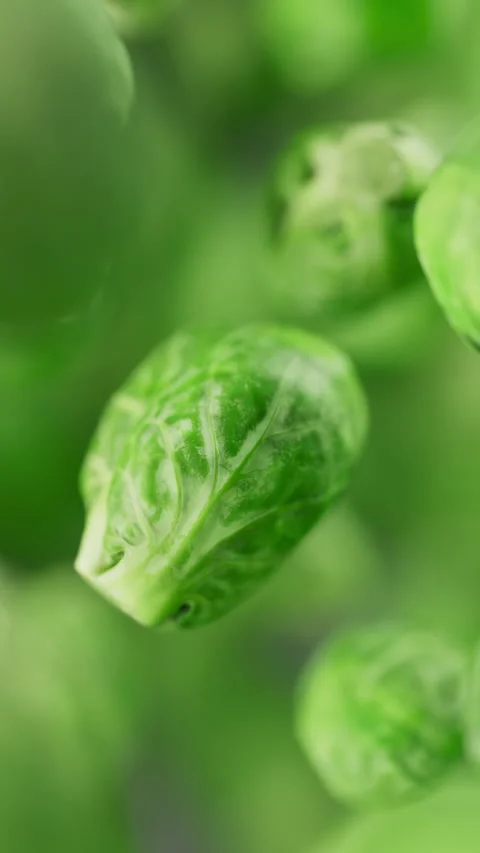 Looping animation of a group of brussels sprouts. Defocus. Close-up. Video stock 308074506