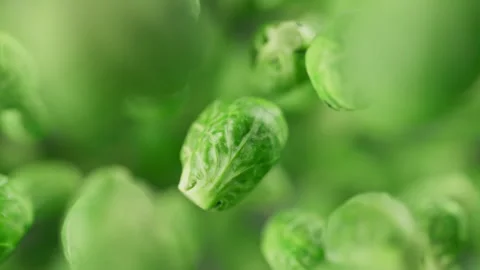 Looping animation of a group of brussels sprouts. Defocus. Close-up. Stock Footage 317497366