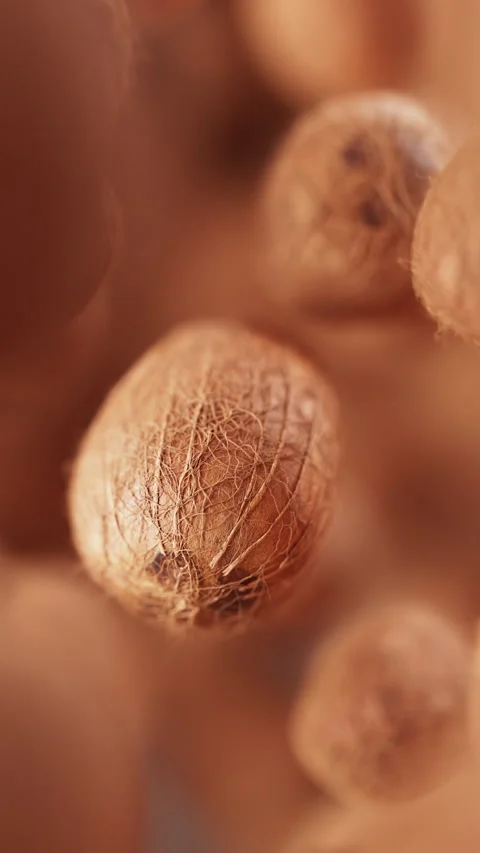 Looping animation of a group of coconuts. Defocus. Close-up. Stock Footage 314837083